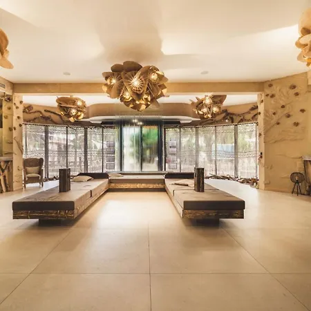 营地 Mobil-home 3 - 7 Personnes, Terrasse - Api-1-52-1627 阿格德