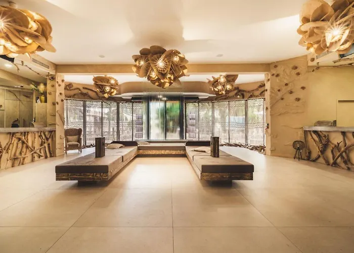 营地 Mobil-home 3 - 7 Personnes, Terrasse - Api-1-52-1627 阿格德